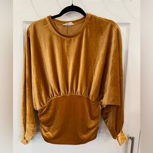 THML Gold Velvet/Velour Top